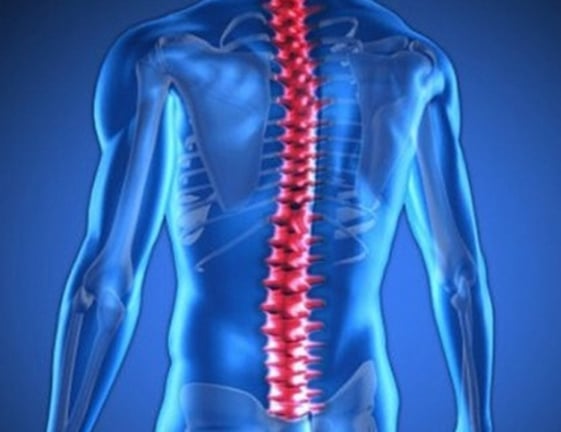 Fisioterapia para coluna